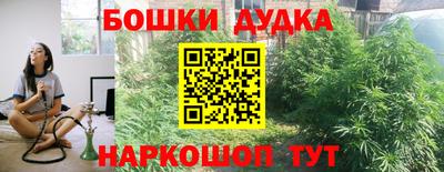 прущие грибы Гусиноозёрск