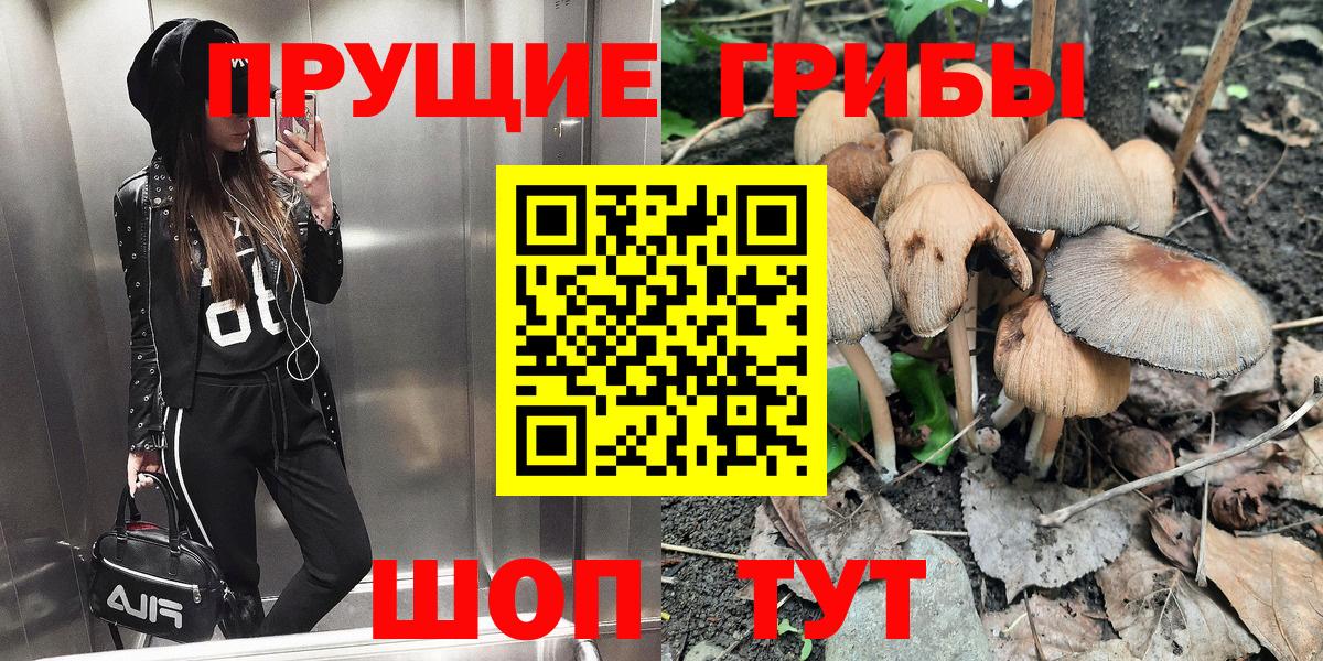где продают   Вход с VPN  Можга  Псилоцибиновые грибы MAGIC MUSHROOMS 