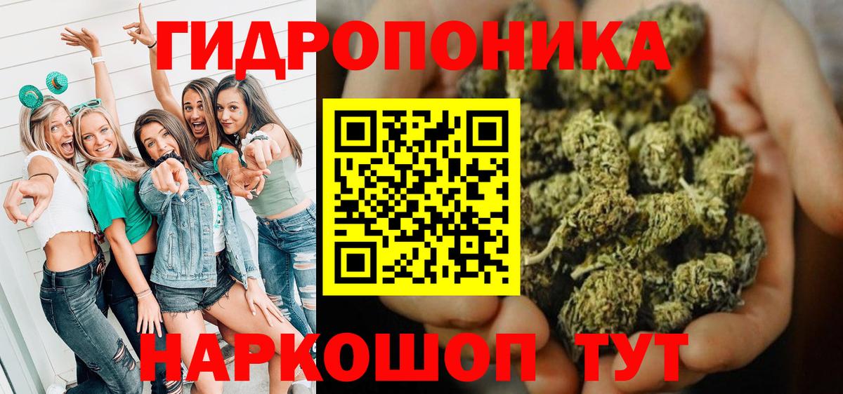 Конопля конопля Можга